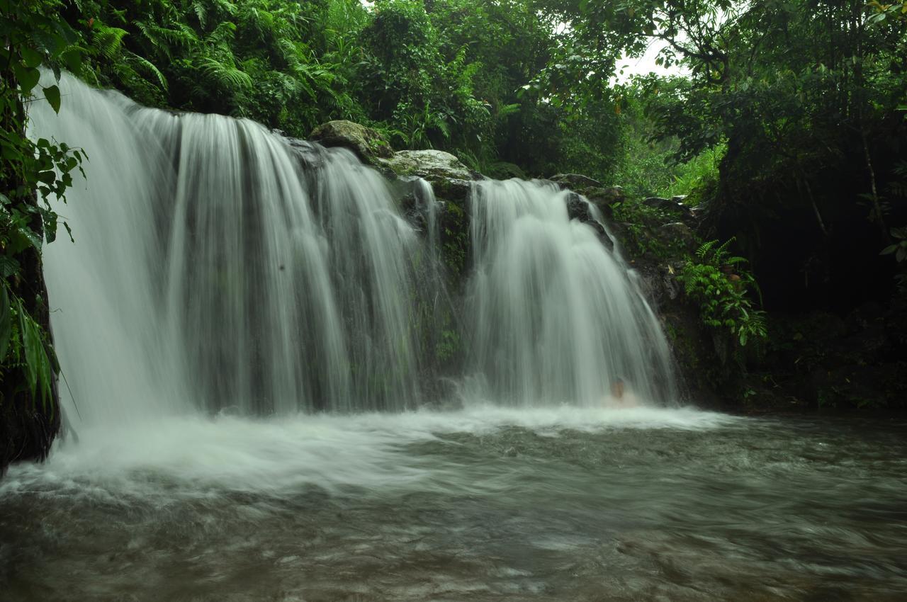 Jaya Homestay Tetebatu Bagian luar foto